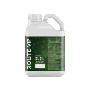 Adjuvante – Route-VIP
