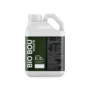 Bio - Bou