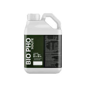Bio - PHO