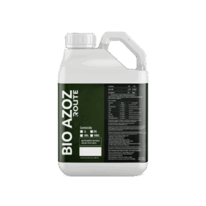Bio - Azoz