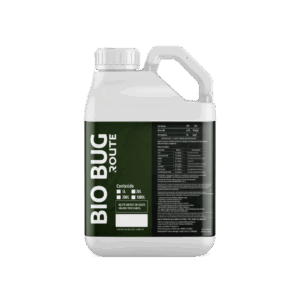 Bio - Bug